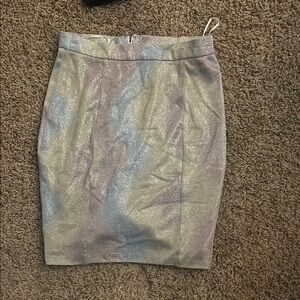 Shimmering Silver Women's Skirt